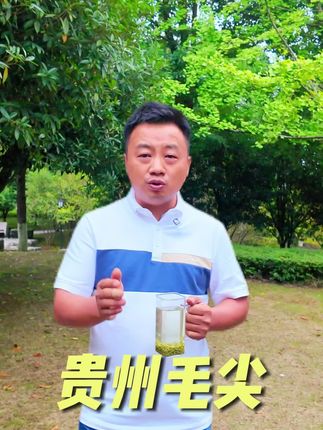 卖爆了!精选毛尖,高山人工采摘!