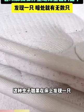 换季收纳起来的衣服被子放上这个#花香樟脑丸 ,防滑防霉,防虫防蛀,持久留香!#防潮防霉 #衣柜香包