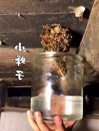 运动出汗多?止汗珠一抹,清爽一整天!#身体护理#止汗珠