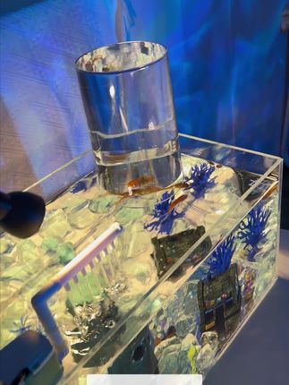 小缸变LOFT负压鱼缸来啦,只要两位数~#鱼缸#流水生财#负压鱼缸#鱼缸里的大自然