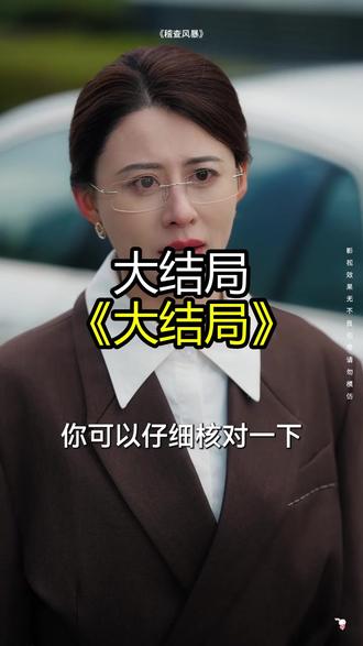 《稽查风暴》精彩后续大结局,完整版