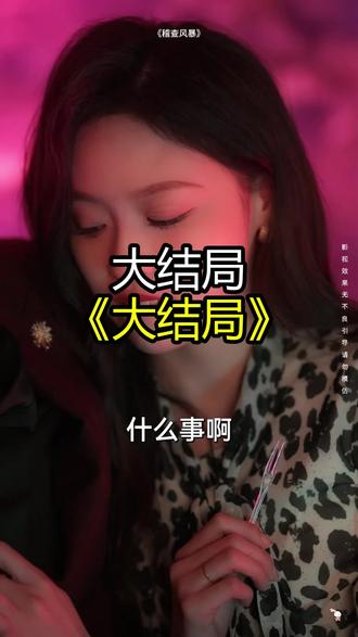 《稽查风暴》精彩后续大结局,完整版
