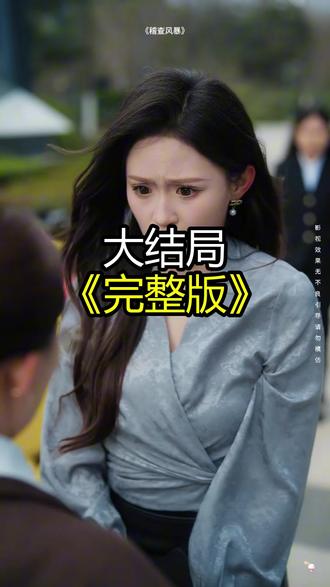 《稽查风暴》精彩后续大结局,完整版