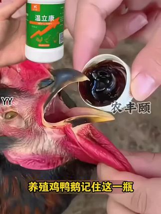 养鸡小妙招,养鸡有方法 养鸡鸭鹅有方法,要想鸡鸭鹅平平安安家里可以备几瓶这款温立康#鸡鸭鹅 #温立康 #养殖场专用