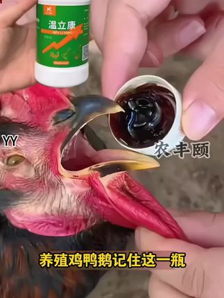养鸡常备温立康 #养殖小妙招 #家禽养殖 #养鸡场 #鸡鸭鹅养殖 #科学养鸡