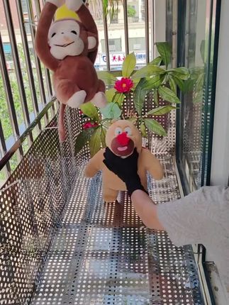 在家里阳台上养花种草,选择不锈钢防护网,厂家直销,质量保证,价格优惠