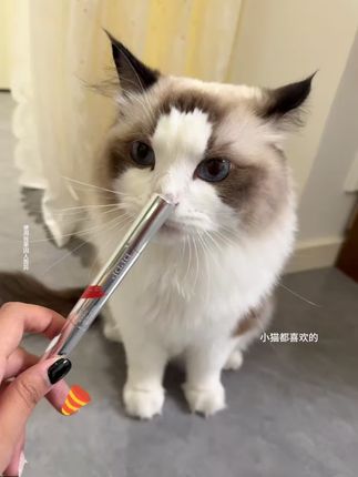 超好用的气垫唇霜,持久显色,唇成膜不沾杯,小姐姐都在用#口红试色#DPDP#平价彩妆