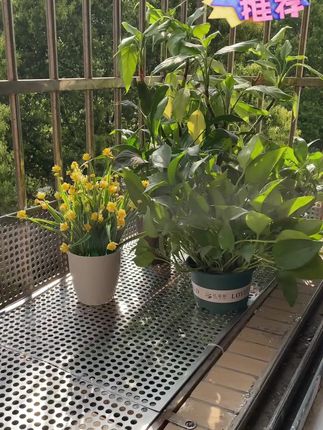 不锈钢阳台防护网,厂家直销,质量保证,价格实惠,尺寸可定制,欢迎咨询!