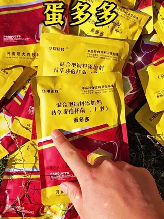 增蛋宝蛋禽饲料添加剂蛋多多催蛋多下蛋延长产蛋期鸡鸭鹅鹌鹑通用#蛋鸡养殖 #养殖好帮手 #养殖农场必备神器