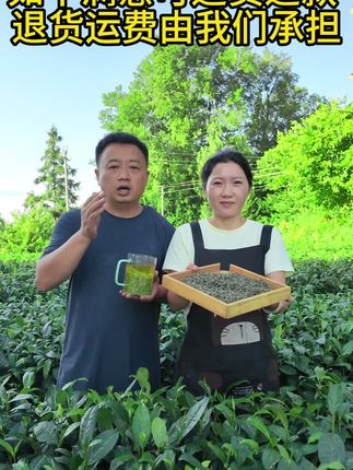 贵州都匀毛尖,正宗大师手工制作,货真价实,支持试喝