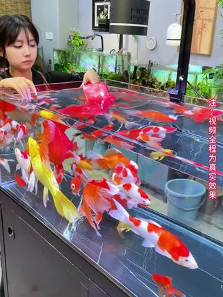 到底是谁还在用刮藻刀除藻啊,刮藻刀除藻不除根,一天不刮,就又长出来了#水族用品 #净水片 #鱼缸水质净化