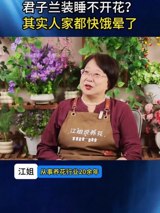 君子兰专用肥不仅富含君子兰生长所需要的氮、磷、钾等元素,还富含了特殊的腐殖酸