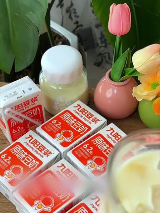 夏天来一杯冰豆浆真的好好喝啊!清爽解腻!比奶茶碳酸强太多了#九阳豆浆