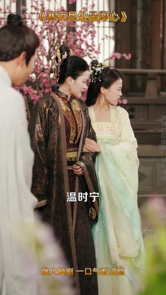 #寒夜尽处是卿心解说 #搞笑短剧 #因为一个片段追了整个剧 #微短剧 #E3629