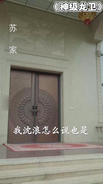 华夏第一高手沦为赘婿 #神级龙卫 #新热短剧
