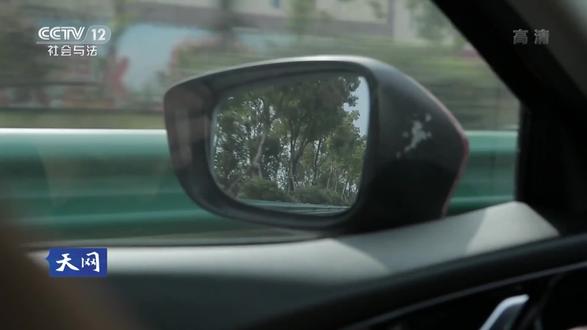 两起离奇失踪案:王某战抛尸与龙美心神秘消失的侦破之路 #天网:案件真相(上) #观心馆长 #抖音热门短剧