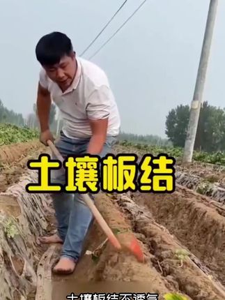 松土精到手2包活动赶紧先囤