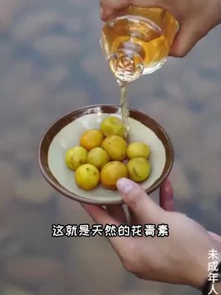 喝点好的,每瓶带果发出,亲眼可见的品质#黄大状果酒 #青梅酒