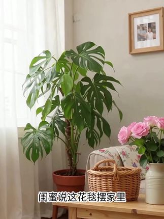 【匠心工艺】手工成品玫瑰花束毯子毛毯不是材料包手捧花直径玫瑰#被花束毯子美到了 #钩针编织 #惊喜 #礼物#七夕礼物