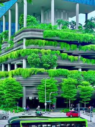 你们都说我的调色像魔法,不妨试试这个郁郁葱葱!真的绝了!~有手就会的教程安排上↓ 曝光+100 鲜明度+49 高光-30 阴影-29 对比度-52 饱和度+46 自然饱和度+45 色温-100 清晰度+48 曝光调回0 #修图 #调色#教程#调色教程