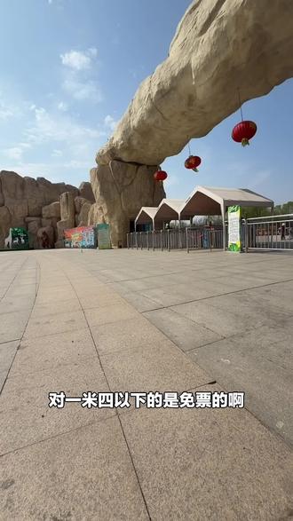春日游玩好去处!一张成人票带你打卡黄河三角洲动物园,看非洲狮、东北虎等多种动物,速来!#动物园 #黄河三角洲 #春日狂欢 #动物园门票 #黄河三角洲动物园