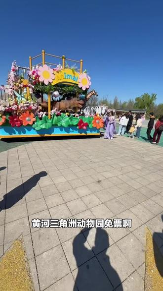 家人们,春日去黄河三角洲动物园玩啦!一张成人票就能参观非洲狮、东北虎等超多动物,速来!#动物园 #动物园门票 #黄河三角洲动物园 #羊驼乐园 #春日动物园