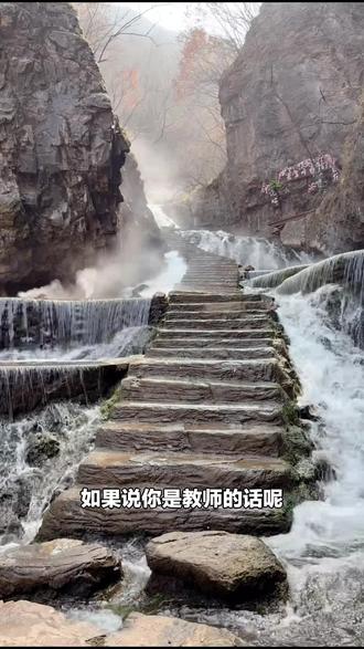 学生和教师有福啦!王府竹海度假旅游区单人半价门票,出示有效证件就能享,速来抢购!#自然景观 #学生票 #王府竹海 #王府竹海度假旅游区 #半价门票