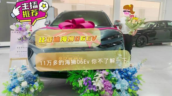 11万多的比亚迪海狮06Ev,快来了解一下 #全品牌新车销售 #岳阳县荣家湾 #比亚迪海狮06#比亚迪海狮06