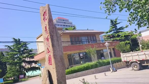 文登抱龙河边,这棵百年大白杨藏着一整个夏天的清凉 #文登 #文登本地生活 #抱龙河公园#老杨树 #抱龙河公园#老杨树 #文登大妹子