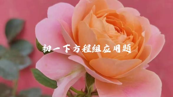 初一下方程组应用题 #教育#数学 #初中生 #初中数学#每天学习一点点