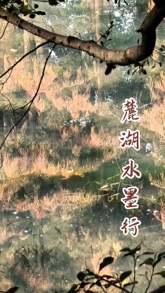 麓湖水墨行 清晨6点半到8点漫步广州麓湖,沉浸式记录了从静谧水墨般的湖景,到朝阳升起后湖面镀金、万物焕发生机,再到城市苏醒后麓湖兼具诗意与烟火气的全过程,抒发了身边即盛景的感悟。#广州麓湖日出 #城市里的诗意角落 #晨跑好去处 #治愈系风景 #身边的美好