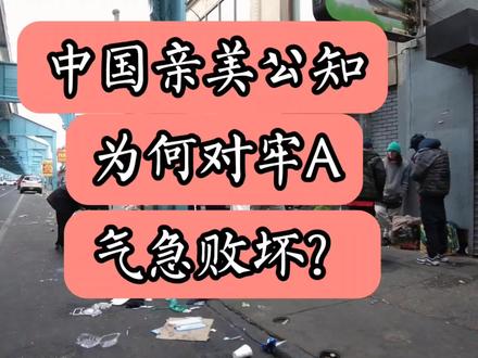 中国亲美公知为何对牢A气急败坏?