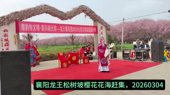 襄阳龙王松树坡樱花赶集,20260304 #湖北
#襄阳
#骑行