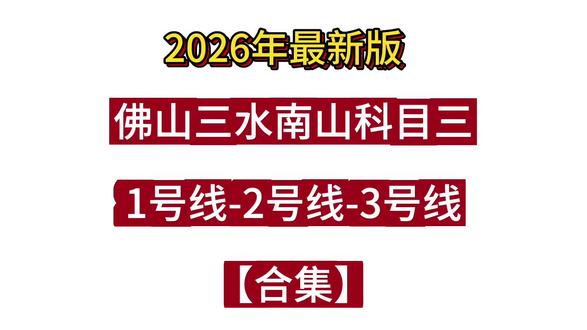 三水南山考场科目三1号线2号线3号线全过程与细节 #佛山三水南山科目三 #南山科目三考场 #三水南山科目三考场123号线 #模拟小刘教练 #佛山驾考