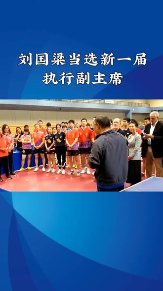 刘国梁当选国际乒联执行副主席。