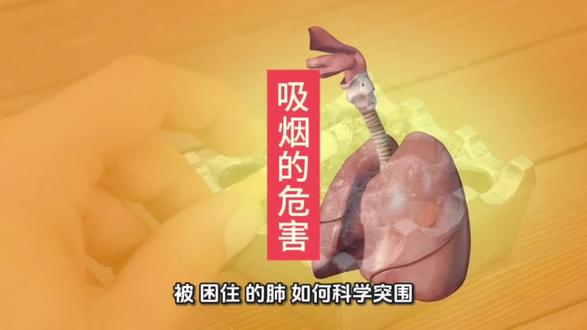 吸烟的危害 #知识科普 #吸烟的危害 #戒烟 @小雅科普