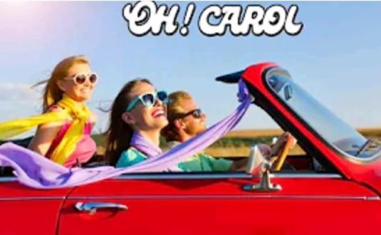 噢,卡羅爾/索尼克音樂OH,CAROL