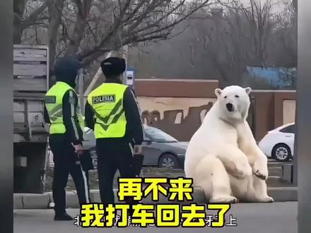 视频来自网络,请仔细甄别