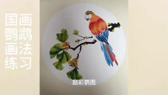 国画鹦鹉画法练习 题彩鹦图
彩羽临风立翠柯,
金丸缀叶影婆娑。
幽禽解语凝眸久,
一任秋光入画多。#零基础学画画 #自学画画