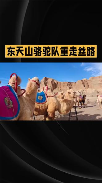 东天山骆驼队重走丝绸之路