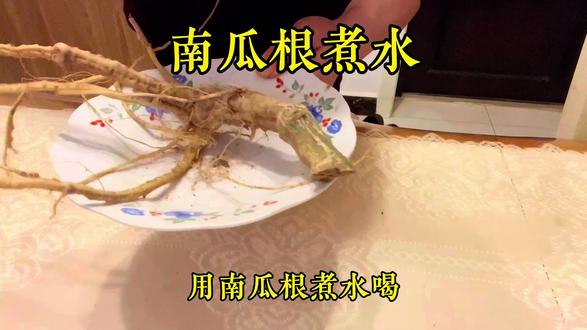 南瓜根煮水 南瓜根的养生土方传统养生