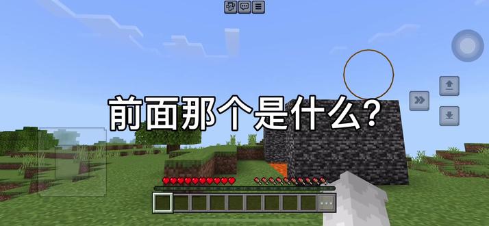 我的世界:救谁?小子变得奇怪?