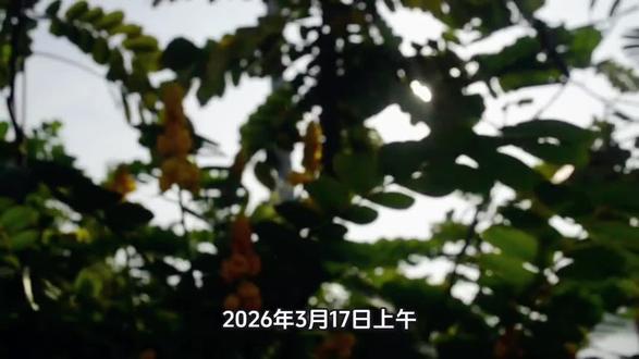 2026年3月17日上午,7吨陨石划破美国长空!