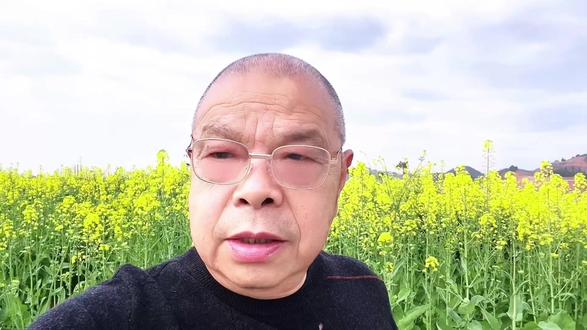 遂宁圣平岛,油菜花海景区正式开园。