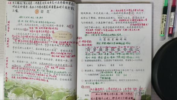 三下《荷花》寒假预习必看,重难点突出 #小学三下语文#三下《荷花》#寒假充电计划 #黑马计划 #新学期我要立个flag