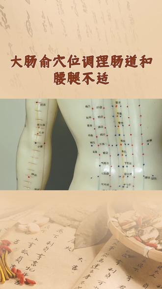 调理身体不适:穴位十七——大肠俞。