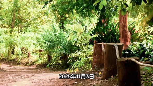 党的好干部人民的公仆