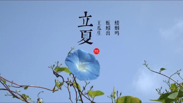 过了立夏节气,气候将会发生哪些明显变化? #南方 北方#北回#北回归线