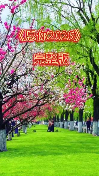 好歌♥分享《愿2026少一些烦忧》完整版 新的一年里,愿你事业有成,仕途步步高升,家庭和谐一切安好!