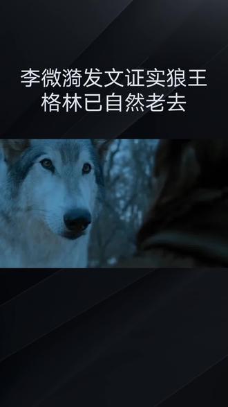 李微漪发文证实狼王格林已自然老去
